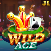 Wild Ace slot game